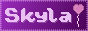 skyla banner